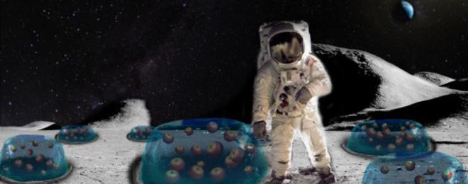 НАСА ще си прави салата от зеленчуци отгледани на Луната