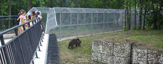 Още две мечки ще живеят в зоопарка ни