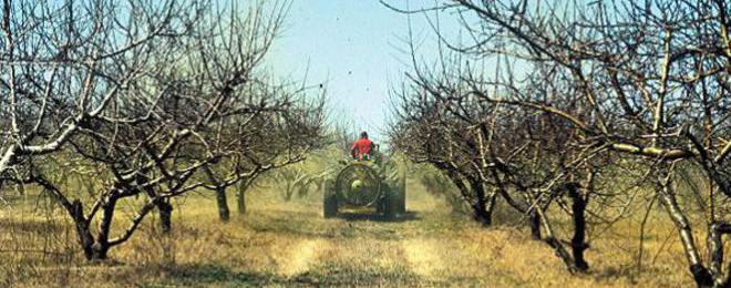 Овощари обвиниха държавата в саботаж на субсидиите