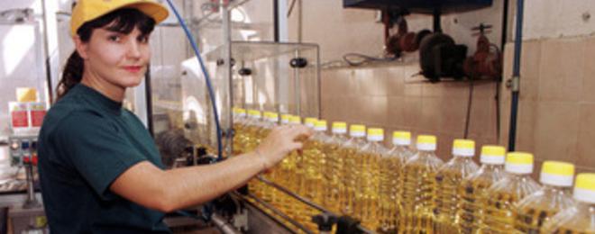 Производители: Олиото няма да поевтинее, докато зърното се изнася