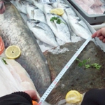 Добричлии опразват рибните магазини за Никулден