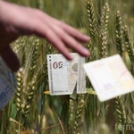 Раздават 1 милиард лева на фермерите