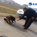 Роми подготвят кучета за бой с кървави зверства край Варна