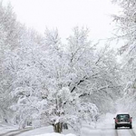 Шосетата в Добрич се развалят бързо. Трябва ни скоростен път до Варна 