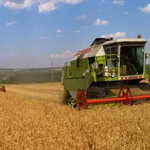 Субсидиите са вече по сметките на фермерите