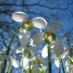 БАН: Задава се пролет. Градусите скачат до +18 до дни