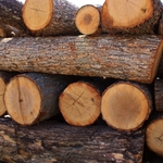 Мотокар уби момче, искало да купи дърва за семейството си