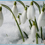 Слънце ще пече и днес. Чакат ли ни температурни рекорди?