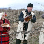 Винарите в Добрич ще зарежат лозето