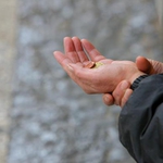 „Атака” вади от мизерията закъсали добруджанци