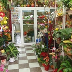 Цветари в Добрич вяхнат покрай данъчни честитки