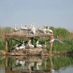 Добричлии ще имат един от най-големите природонаучни музеи в България