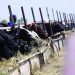 Експерти обясняват на земеделци как да усвоят 236 милиона лева