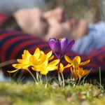 Градусите удрят +20! Жега през март