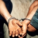 Крадец на дамски чанти от Добрич задигна 16 кошера от Каварна