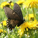 Неделната сутрин скова Добрич с -5 градуса. Жегата идва заедно с април