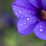 Облачна и хладна сряда