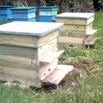 Откраднаха 10 кошера от квартал „Рилци”