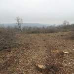 Природозащитници излизат на протест пред МС заради Карадере