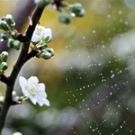 Слаб дъжд и облаци закриват слънцето