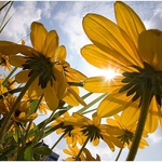 Слънце в очите и вятър в косите в понеделник