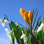 Слънчево и топло през целия уикенд