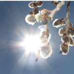 Спокойна пътна обстановна и слънчев понеделник