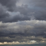 Сухи пътища и ново запролетяване в област Добрич