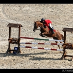 Състезатели и любители се събират на зрелищен Тодоровден