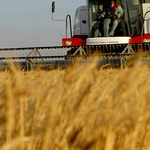 Вход свободен за земеделски семинар с преподаватели и експерти в сряда