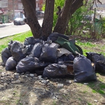 20 организации ще чистят 13 обекта в Добрич утре 