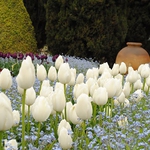 3 часа гасиха пожар до Ботаническата градина