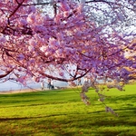 Добрич осъмна с +1°. Каква ще бъде Страстната седмица?