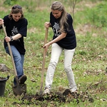 Добрич ще се раззелени с 600 нови дървета