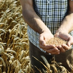 Фермери плашат учените с протест срещу липсата на политика в земеделието