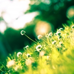 Хлад и дъжд се задават заедно с уикенда