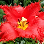 Хладно и дъждовно остава и в четвъртък