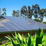 Хотелиери развиват зеления туризъм по добруджанското Черноморие