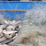 Извадиха бракониерски мрежи пълни с улов от езеро „Дуранкулак”