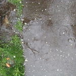 Облачно със слаби превалявания в Добрич