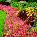 Продължава косенето на зелените площи в Генерал Тошево