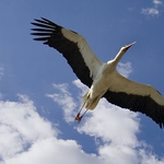 Променлива облачност и +17° в началото на седмицата