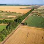Раздават под наем близо 700 хектара в 47 села в Добричко