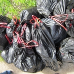 Рекорден брой добричлии доброволстват в голямото пролетно почистване