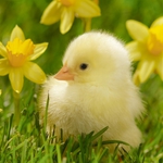 Слънце, облаци и дъжд се редуват в Добрич в петък