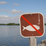 Забраняват риболова. ИАРА затяга мерките за бракониери