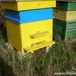 Задържаха под стража трима крадци на 88 пчелни кошери