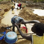 Златотърсачи затриват отглеждането на какао в Западна Африка