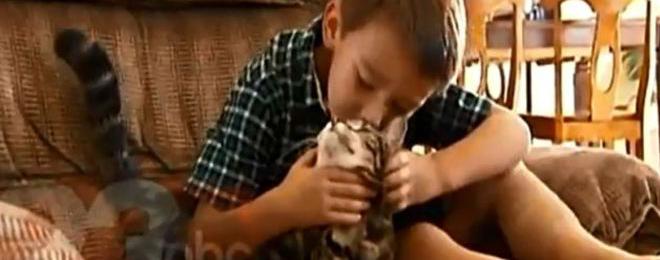 Котка спаси 4-годишно момченце от разкъсване от куче