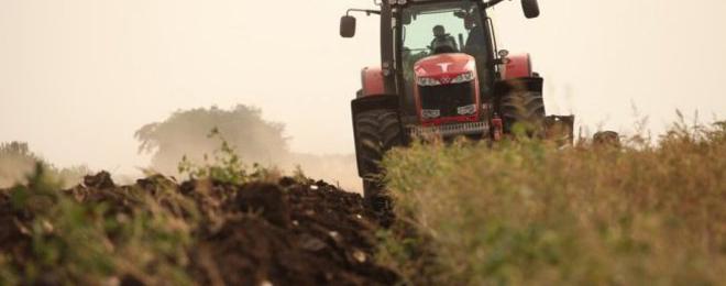 Преброиха повече засяти масиви с царевица и слънчоглед в Добричко от 2013 г. 